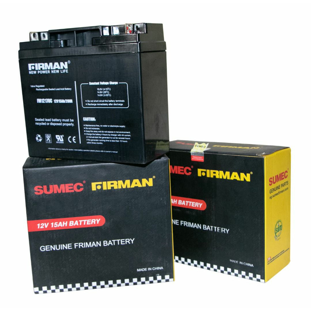 lion summit portable power unit RECERTIFIED main image 0